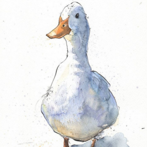 This is a cute little duck - Alt Text